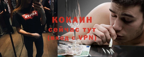 твердый Алексеевка
