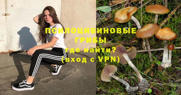 ГАЛЛЮЦИНОГЕННЫЕ ГРИБЫ Алексин