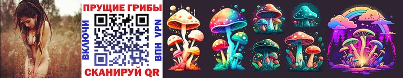 цена наркотик  Тогучин  Псилоцибиновые грибы Psilocybe 